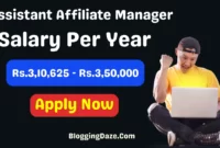 Assistant Affiliate Manager Copy Past Work Available Salary Rs.3,10,625 - Rs.3,50,000 Per Year - Bloggingdaze