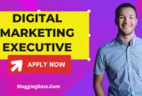 Digital Marketing Executive Job Vacancy In PHN Technology Private Limited Company Pune, Maharashtra Salary Rs.50,000 - Rs.75,000 a month